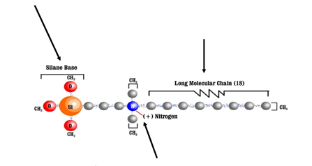 BioshieldBonding